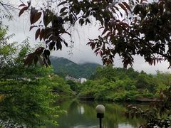 -井冈山风景名胜区