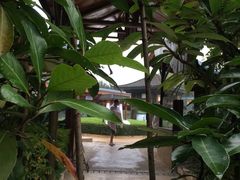 -庐山天沐温泉度假村