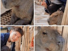 -昆明动物园
