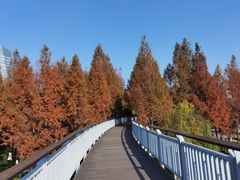 -杭嘉湖咬强羊肉面馆(永兴路总店)