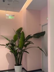 -郑州缔莱美医疗美容医院