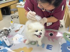 -美联众合动物医院·24h京西诊疗中心