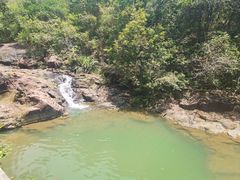 -广州白江湖森林公园