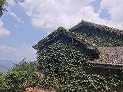 -莫干山风景区