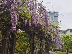 -南京航空航天大学(将军路校区)