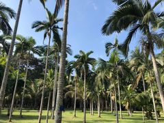 -中国科学院西双版纳热带植物园