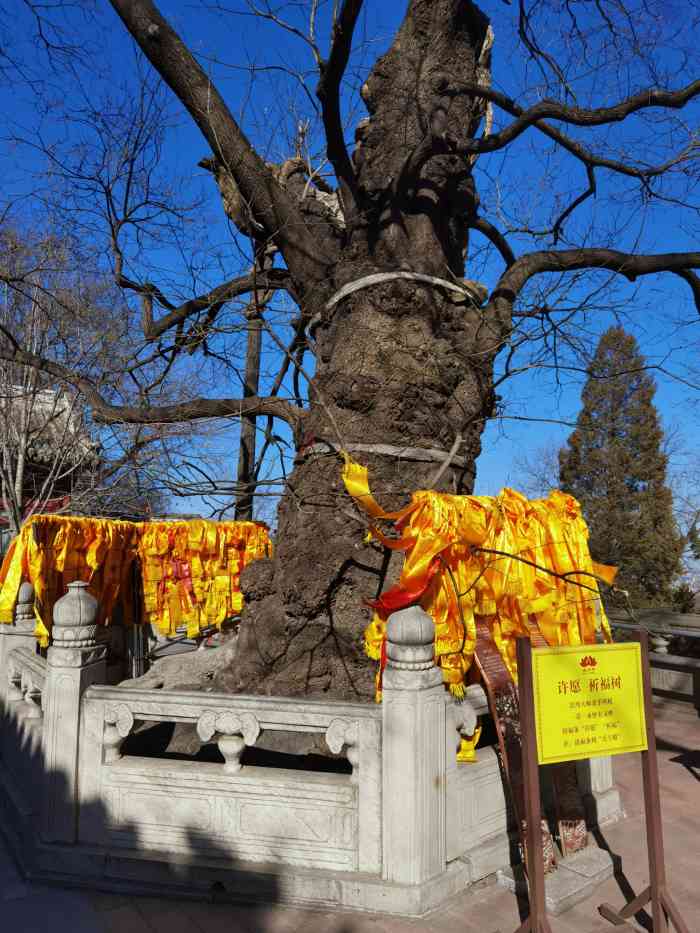 戒台寺-"戒台寺,原名慧聚寺,始建于唐武德五年(公."-大众点评移动版