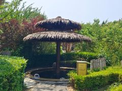 -大连金石滩绿发温泉假日酒店