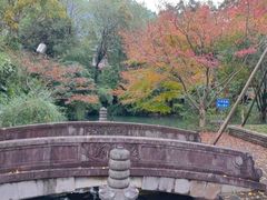 -杭州半山国家森林公园