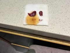 -宠爱国际动物医院· 猫科· 外科·中兽医(长白店)