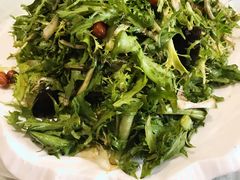 苦菊三样-海洋岛酒店