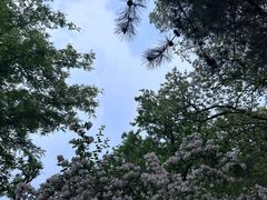 -元大都城垣遗址公园