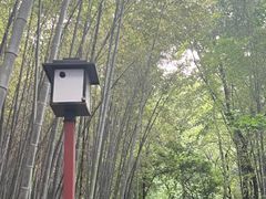 -缥缈峰景区