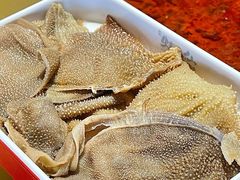 -铭记蛙小仙·活蛙畅享(CBD万达广场店)