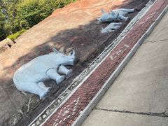 -哈尔滨北方森林动物园