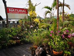 -自然餐厅(Phuket)