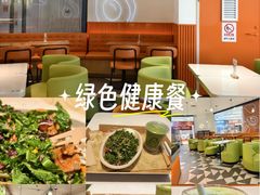 -油梨树 AVOCADO TREE(亮马桥店)