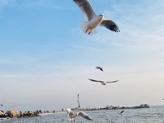 -老虎石海上公园