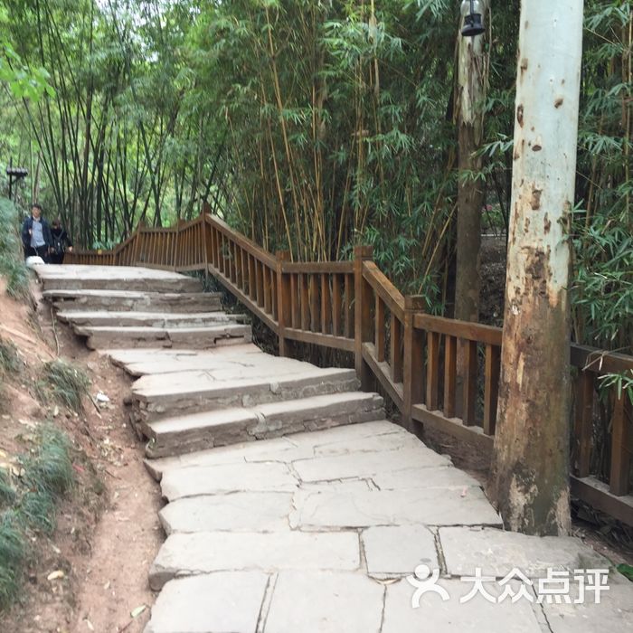 龙泉仰天窝市民健身步道