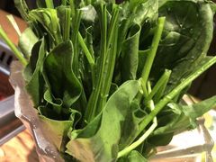 -草原塞蛮羊火锅城(港湾店)