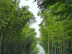 -天目湖御水温泉·度假酒店