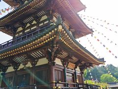 -庐山风景名胜区-东林大佛