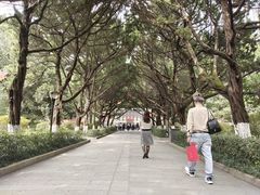 -南岳衡山风景名胜区-南岳大庙