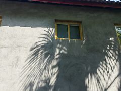 -凤栖山