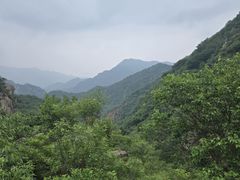 -大岭沟猕猴桃谷风景区