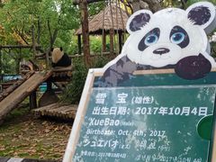 -上海野生动物园