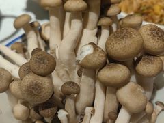 -鸿姐老火锅(疁城新天地店)