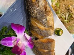 香煎黄花鱼-唔止卤嘢·潮州菜(鹭江店)