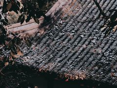 -虎跑公园
