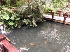 -呀诺达热带雨林