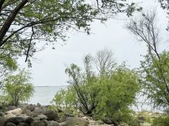 -上海吴淞炮台湾国家湿地公园