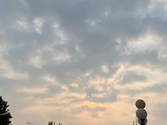 -天津医科大学第二医院