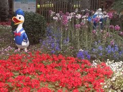 -黄村公园