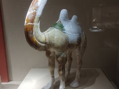 -宁夏博物馆