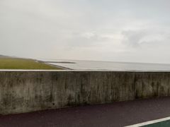 -碧海金沙