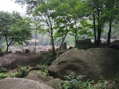 -山沟沟景区