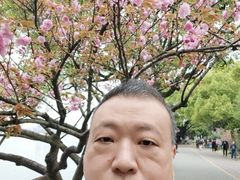 -团城山公园
