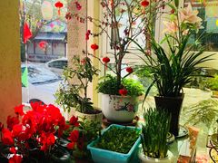 -龚家花园农家乐休闲别墅