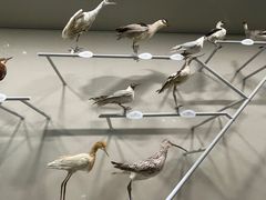 -中国湿地博物馆