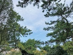 -湛山寺