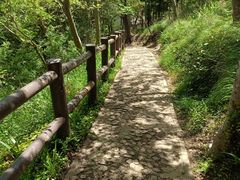 -上海佘山国家森林公园天马山园