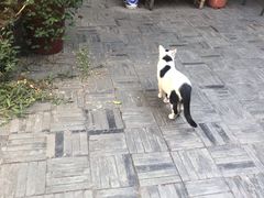 -二楼南书房