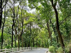 -广州市白云山风景名胜区