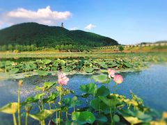 -六鼎山文化旅游区