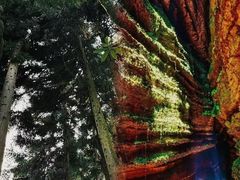 -梭布垭石林景区