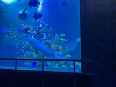 -太平洋海底世界博览馆·展览厅